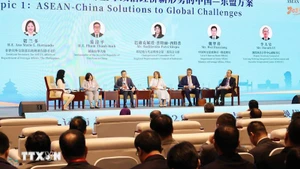 Общий вид тематического диалога высокого уровня в рамках Недели АСЕАН-Китай 2025 года. Фото: ВИА