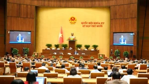 Общий вид заседания 24 ноября. Фото: Зюи Линь