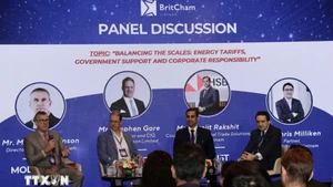 Спикеры участвуют в дискуссии о будущем возобновляемой энергетики во Вьетнаме. Фото: ВИА