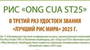 Рис «Ong Cua ST25» в третий раз удостоен звания «Лучший рис мира» 2025 года