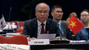 Посол Динь Тоан Тханг выступает на конференции. Фото: ВИА