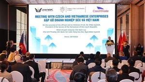 Общий вид встречи. Фото: ВИА