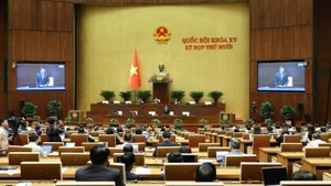 Общий вид заседания 18 ноября. Фото: Зюи Линь