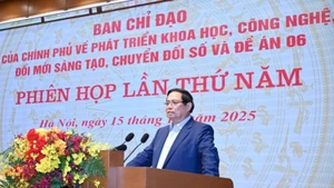 Премьер-министр Фам Минь Тьинь выступает на заседании. Фото: Чан Хай