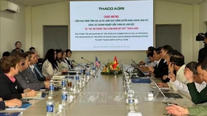 Общий вид рабочей встречи. Фото: ВИА