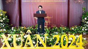 Посол Вьетнама в Брунее Чан Ань Ву.