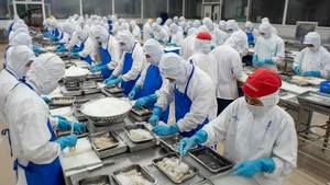 Переработка морепродуктов в компании Cofidec в г. Хошимине.