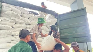 Рис из резервного фонда доставляется в районы, сильно пострадавшие от недавнего наводнения. Фото: ВИА