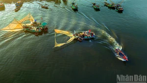 Бодрое утро на рыбном причале Нгитхюи