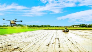 Фермеры города Кантхо применяют высокие технологии в производстве.