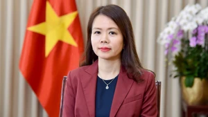 Замминистра иностранных дел Нгуен Минь Ханг. Фото: baoquocte.vn