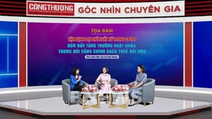 Эксперты обсуждают на семинаре. Фото: ВИA