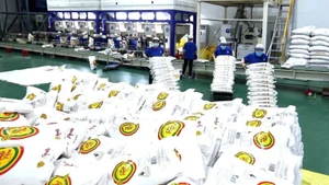 Переработка риса на заводе компании Чунган в городе Кантхо. Фото: Ву Шинь