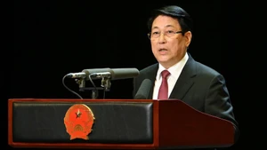 Президент Лыонг Кыонг выступает на церемонии. Фото: Тхюи Нгуен