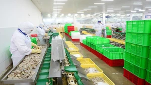 EVFTA открывает большие возможности для увеличения экспорта вьетнамской сельскохозяйственной продукции на рынок ЕС.