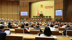 Общий вид заседания 3 декрабря. Фото: Зюи Линь