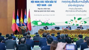 Премьер-министр Фам Минь Тьинь выступает на конференции. Фото: VGP