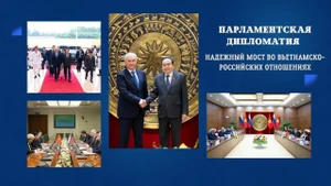 Парламентская дипломатия – Надежный мост во вьетнамско-российских отношениях
