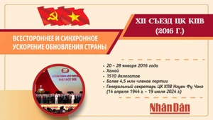 [Инфографика] XII съезд Партии: Всестороннее и синхронное ускорение обновления страны