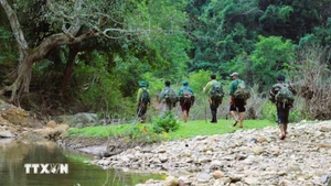 Группа по изучению биоразнообразия, собирающая образцы и устанавливающая фотоловушки, продвигается в ядровую зону подучастка 729 природного заповедника Пухуонг. Фото: ВИА