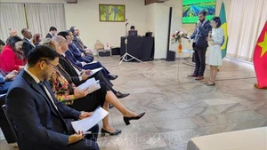 Общий вид семинара. Фото: ВИА