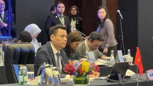 Заместитель министра иностранных дел Данг Хоанг Зянг на мероприятии. Фото: ВИА