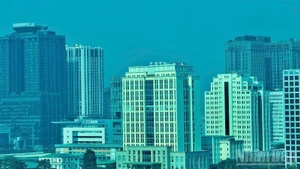 Рынок интегрированного управления объектами во Вьетнаме демонстрирует большой потенциал.