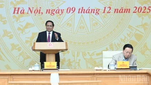 Премьер-министр Фам Минь Тьинь выступает на заседании. Фото: Чан Хай