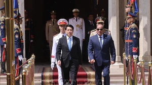 Президент Лыонг Кыонг и Президент Египта Абдель Фаттах ас-Сиси. Фото: ВИА