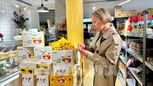 Вьетнамские личи продаются во французском супермаркете. Фото: ВИА