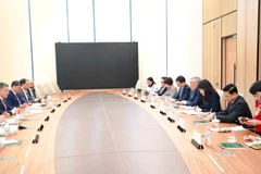 Постоянный заместитель премьер-министра Нгуен Хоа Бинь и делегация Правительства Вьетнама на рабочей встрече с председателем Национального банка Казахстана Тимуром Сулейменовым. (Фото: ВИА)