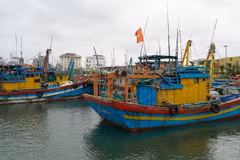 Зялай ориентируется на поэтапное сокращение добычи и развитие высокотехнологичной аквакультуры. (Фото: ВИА)