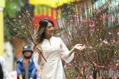 Радостные туристы на весенних прогулках. (Фото: Тхань Дат)