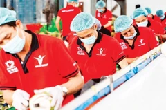 Предварительная обработка кокосов для экспорта на предприятии Vina T&T Group. (Фото: nhandan.vn)