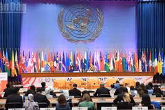 82-я сессия ЭСКАТО в Бангкоке, столице Таиланда. (Фото: Суан Шон)