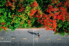 В преддверии праздников по случаю Дня воссоединения страны 30 апреля и Первомая вьетнамские туристы все чаще выбирают зарубежные поездки на близкие расстояния и нестандартные форматы отдыха. (Иллюстративное фото: ВИА)