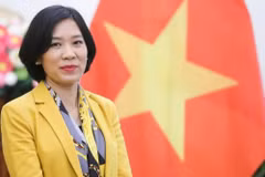Посол Вьетнама в Турции Данг Тхи Тху Ха.