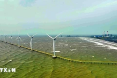 Ветряные турбины на ветроэлектростанции Республика Корея - Чавинь. (Фото: ВИА)