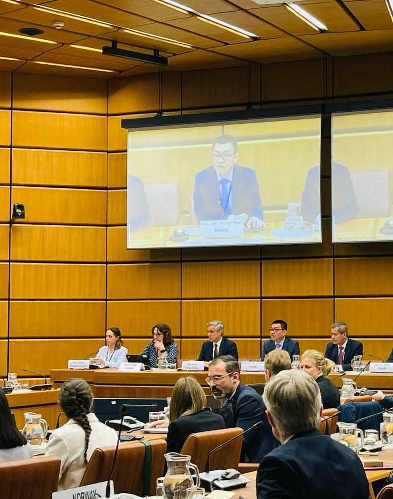 Посол Ву Ле Тхай Хоанг, глава Постоянной миссии Вьетнама при ООН и международных организациях в Вене (Австрия), председательствует на беседе.