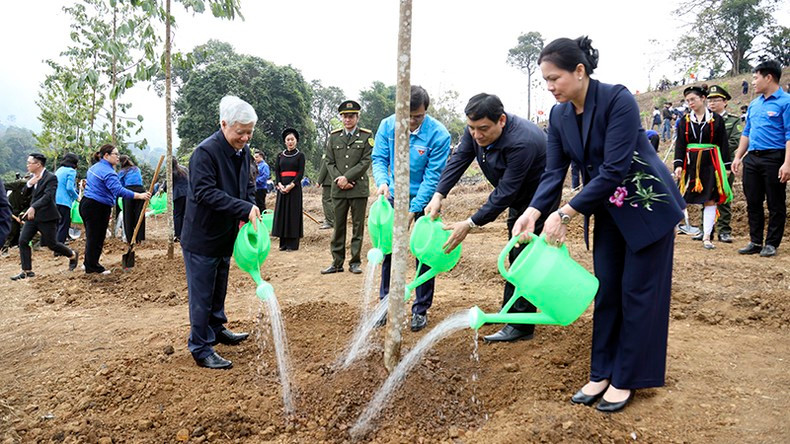 Товарищ До Ван Тьиен и делегаты сажают деревья в отклик на Праздник посадки деревьев. Товарищ До Ван Тьиен и делегаты сажают деревья в отклик на Праздник посадки деревьев.