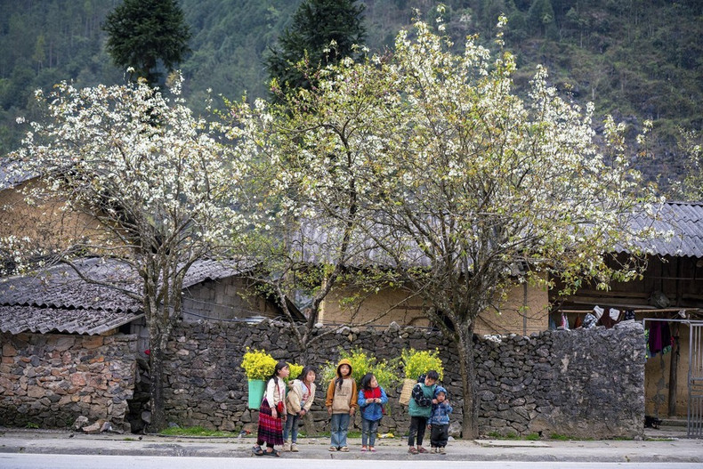 Гармония между природной красотой Хажанга и его радушными людьми привлекает туристов. Фото: ВИA Гармония между природной красотой Хажанга и его радушными людьми привлекает туристов. Фото: ВИA