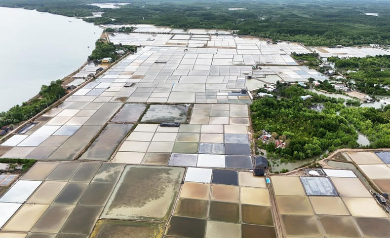 Соляные поля на островном хуторе Тхиенглиенг предлагают посетителям уникальное место для изучения и знакомства с традиционным солеварением. Фото: ВИA Соляные поля на островном хуторе Тхиенглиенг предлагают посетителям уникальное место для изучения и знакомства с традиционным солеварением. Фото: ВИA