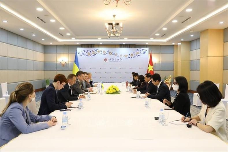 Общий вид встречи Министра иностранных дел Буй Тхань Шона с Министром иностранных дел Украины Дмитрием Кулебой.