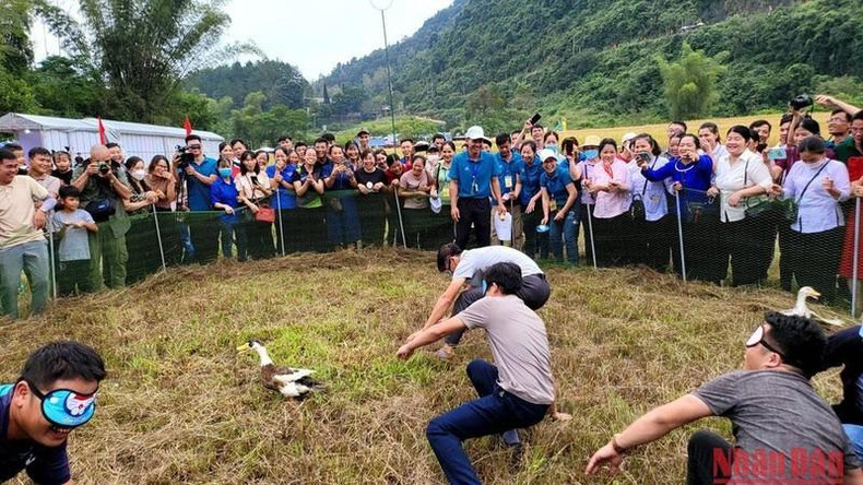 Народные игры. Фото: Минь Туан Народные игры. Фото: Минь Туан