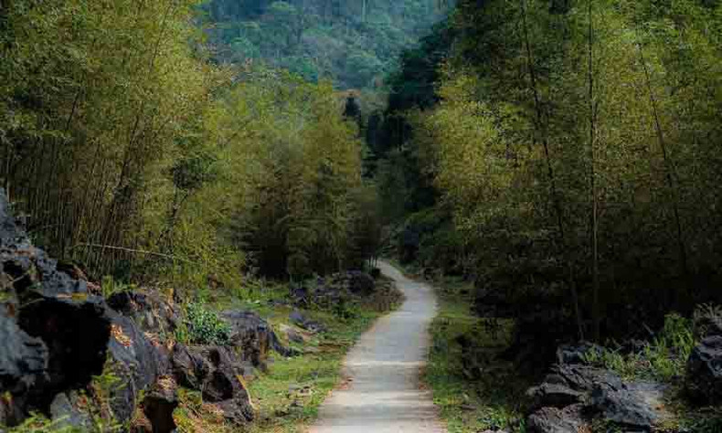 Помимо девственного древнего леса и пещеры Фи, в Шаоха туристы также могут посетить бамбуковый лес, древние дома и храм Шаоха.
