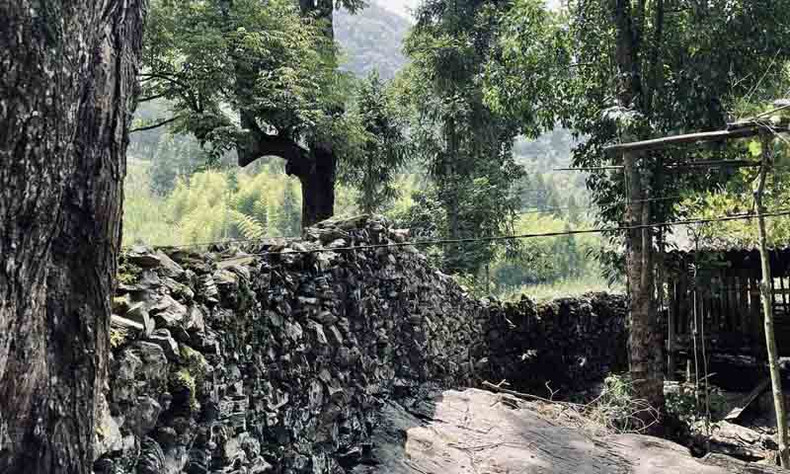 Характерной чертой деревни Шаоха являются каменные заборы высотой около 1,5 м.