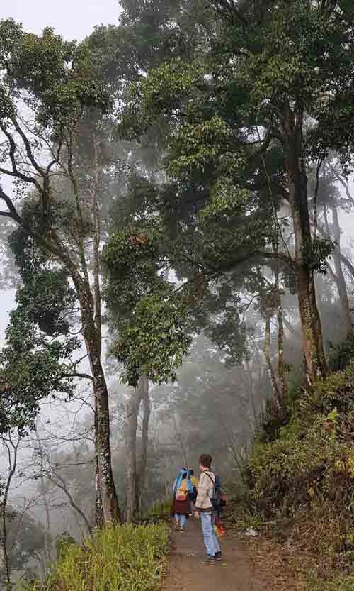 На языке народности Хмонг «Шаоха» означает «высокая долина».