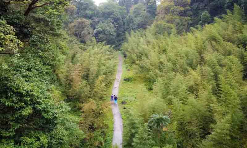 Из уезда Йенминь посетители должны проехать путь длиной почти 17 км. У подножия склона Тхамма им нужно пройти еще около 4 км, чтобы добраться до общины Вантяй. Чтобы добраться до деревни Шаоха, расположенной глубоко в лесу, посетители должны проехать на мотоцикле около двух километров.