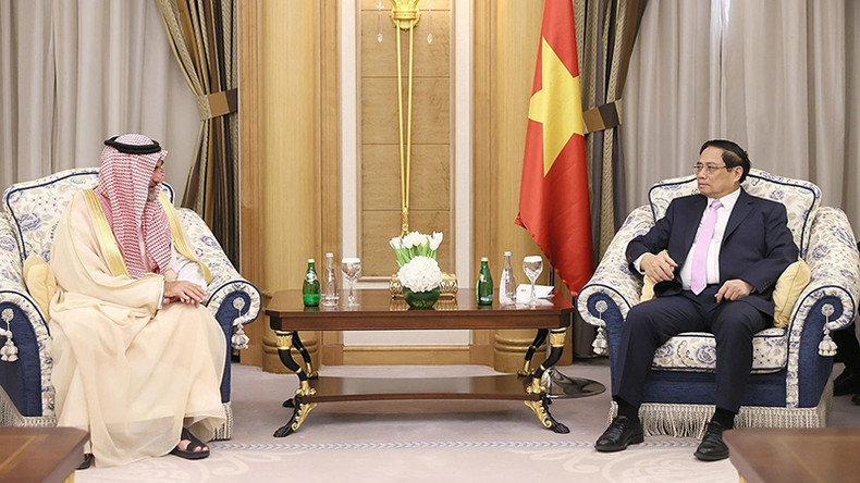 Премьер-министр Фам Минь Тьинь принимает управляющего PIF. Фото: Зыонг Жанг Премьер-министр Фам Минь Тьинь принимает управляющего PIF. Фото: Зыонг Жанг