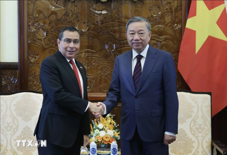 Президент То Лам принимает Посла Панамы во Вьетнаме. Фото: ВИА Президент То Лам принимает Посла Панамы во Вьетнаме. Фото: ВИА